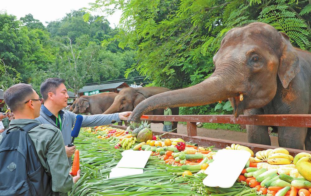 607683d1-5c46-47ca-996b-a7a79a8a768e 607683d1-5c46-47ca-996b-a7a79a8a768e