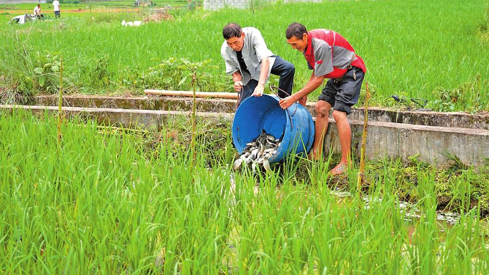 d5956f8c-f0d0-43e0-a45a-c29f1d0134a5 d5956f8c-f0d0-43e0-a45a-c29f1d0134a5