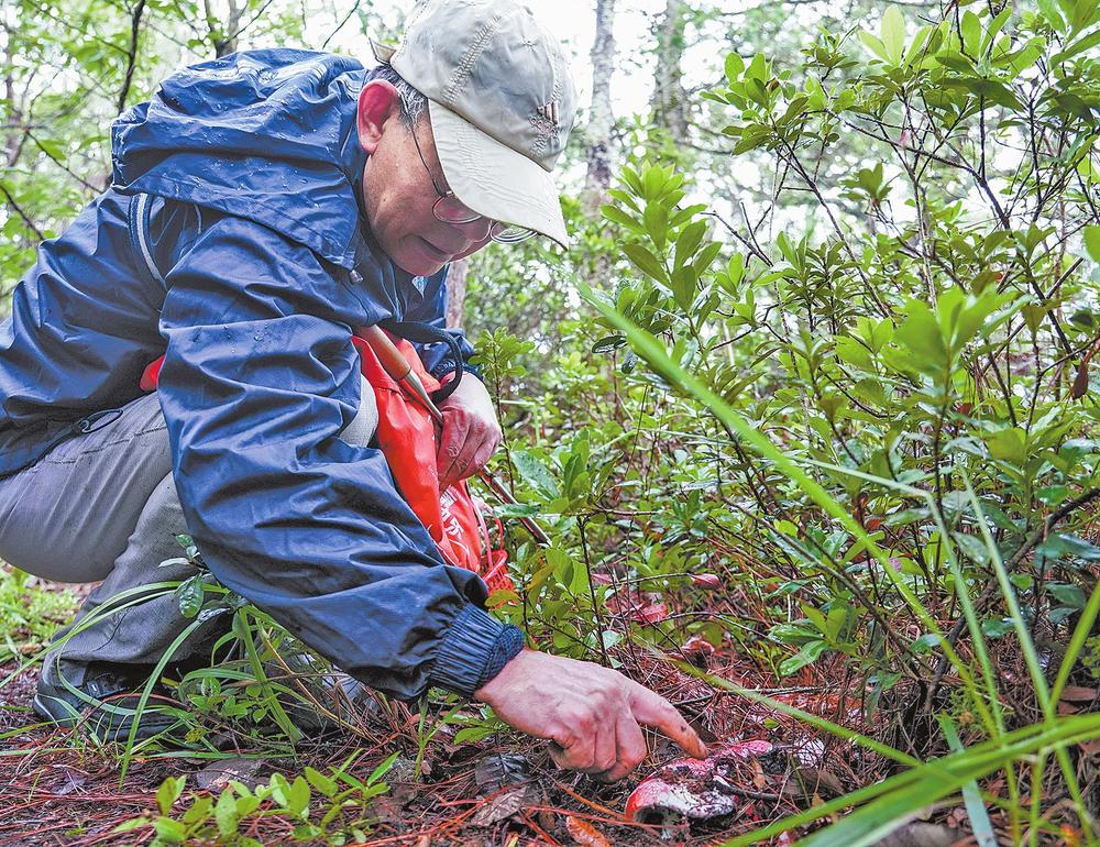 05fed2c2-2f72-41df-999a-0561a33b0fac