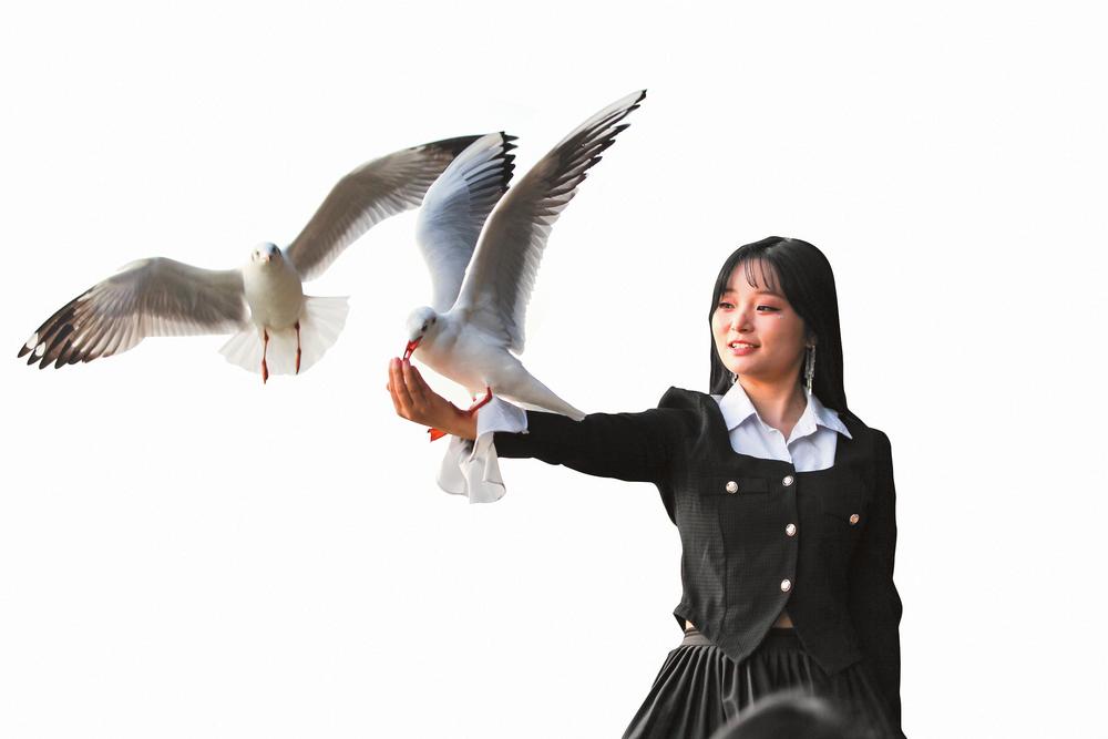 2c24bf0b-3ea1-4392-8044-2abf4f84a5c2