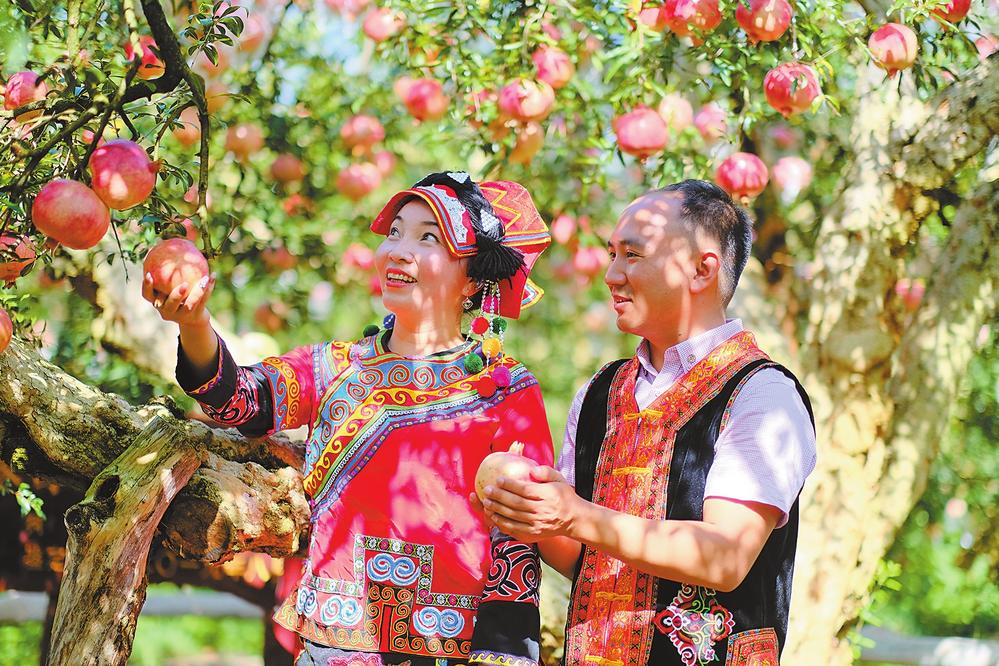 a71973cb-fbb6-45cc-ba24-cfdbc76f1900