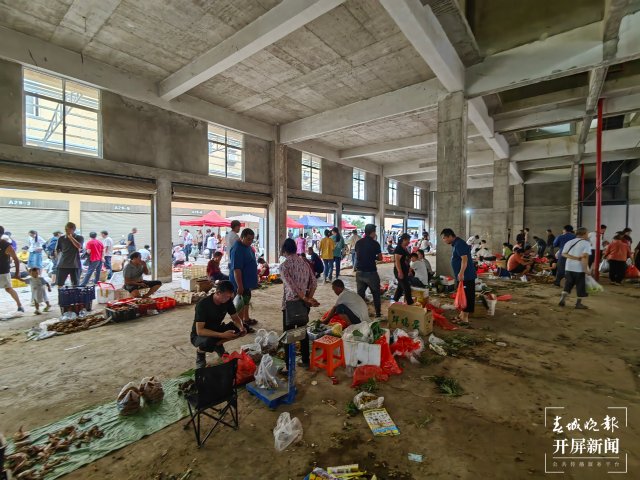 （采访传编辑）美好生活在云南 走，赶菌子Gai克！（有视频） (17).jpg