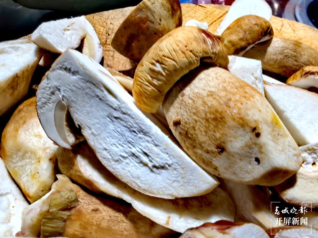 （采访传编辑）美好生活在云南 走，赶菌子Gai克！（有视频） (32).jpg