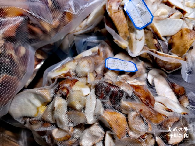 （采访传编辑）美好生活在云南 走，赶菌子Gai克！（有视频） (46).jpg