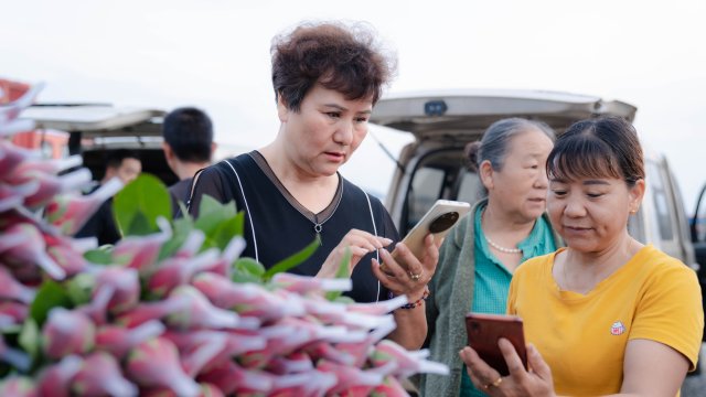 （采访传编辑 “新丝路 新青年”专题稿）晋宁鲜花“绽放”丝绸之路 云南花香飘向中亚1.jpg