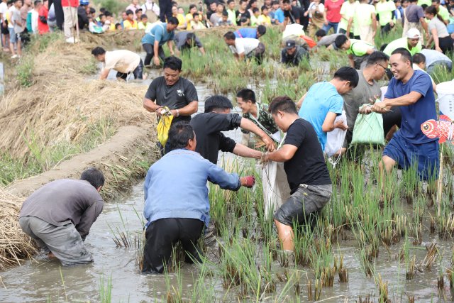 摸鱼比赛 (3).JPG