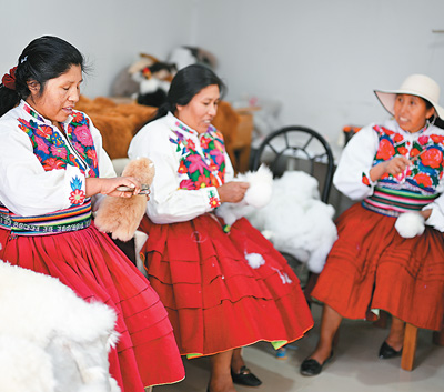 今年,秘鲁品牌“温暖驼”连续第七年亮相进博会,受到更多中国消费者喜爱。图为在秘鲁阿雷基帕,工作人员在制作羊驼玩偶。 今年,秘鲁品牌“温暖驼”连续第七年亮相进博会,受到更多中国消费者喜爱。图为在秘鲁阿雷基帕,工作人员在制作羊驼玩偶。