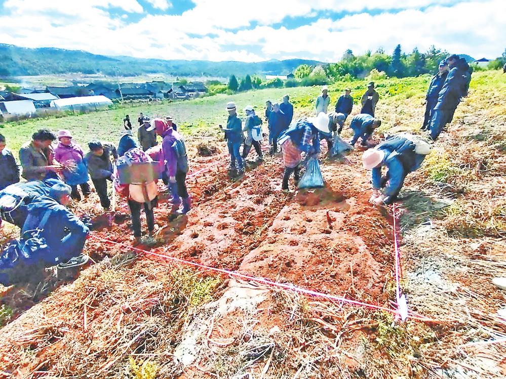 0c794fa8-9be8-42dc-a823-fb44b51dcb30