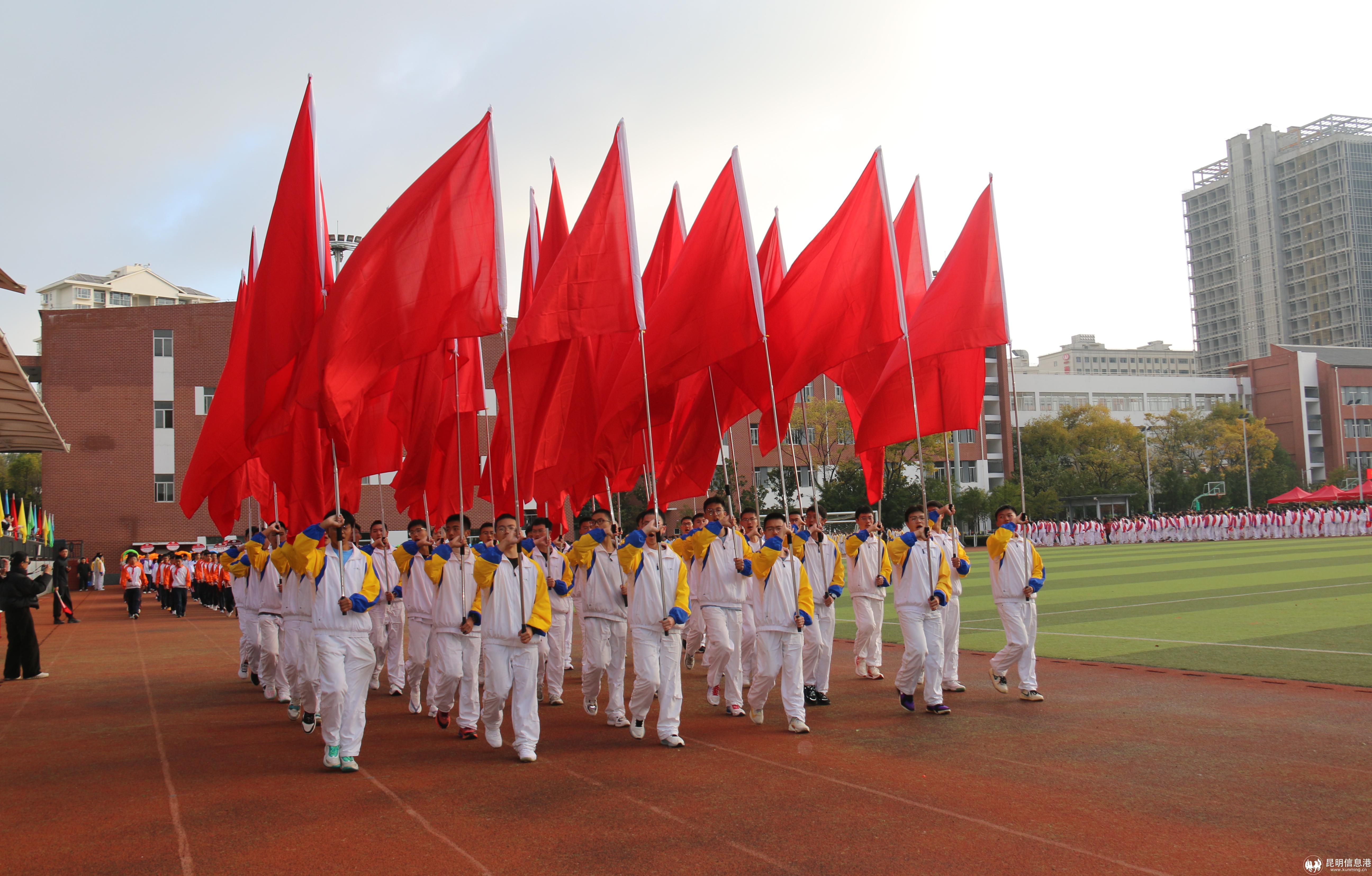 微信图片_20241120153936