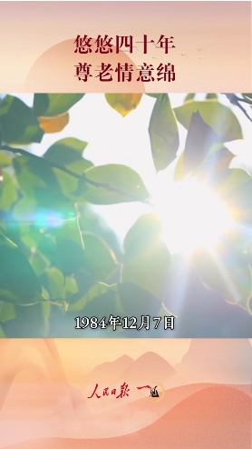 微信截图_20241208093208