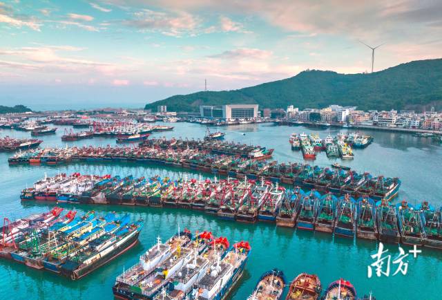阳江闸坡中心渔港，风平浪静，渔船整齐排列。南方拍客 刘正亮 摄