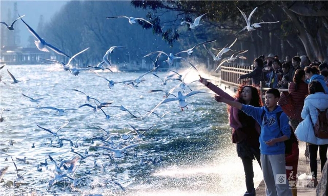 昆明(图据掌上春城)