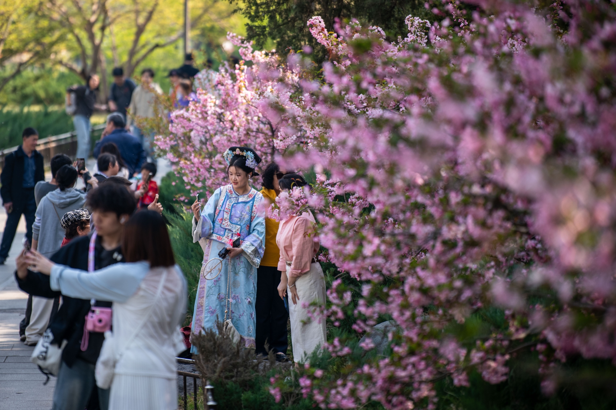 2025年4月6日,北京北海公园,满园春色醉游人。人民网记者 翁奇羽摄