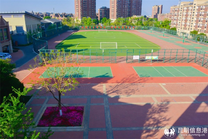 20210402-_DSC6443 20210402-_DSC6443