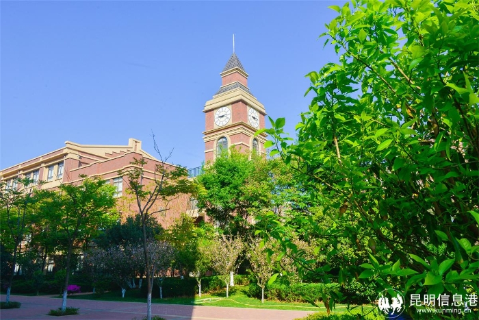 20210402-_DSC6470 20210402-_DSC6470