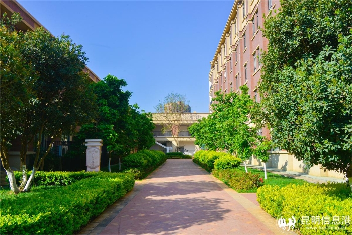 20210402-_DSC6474 20210402-_DSC6474