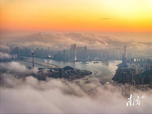 日落时分,俯瞰云海下的澳门与横琴金融岛。南方+拍客 陈烁明 摄 日落时分,俯瞰云海下的澳门与横琴金融岛。南方+拍客 陈烁明 摄