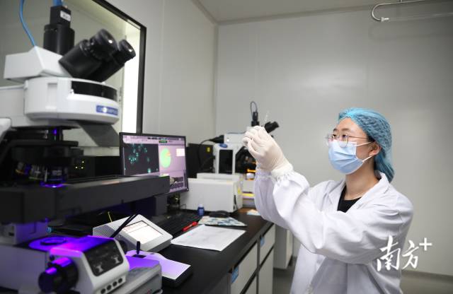 横琴粤澳深度合作区一企业实验室。关铭荣 摄 横琴粤澳深度合作区一企业实验室。关铭荣 摄