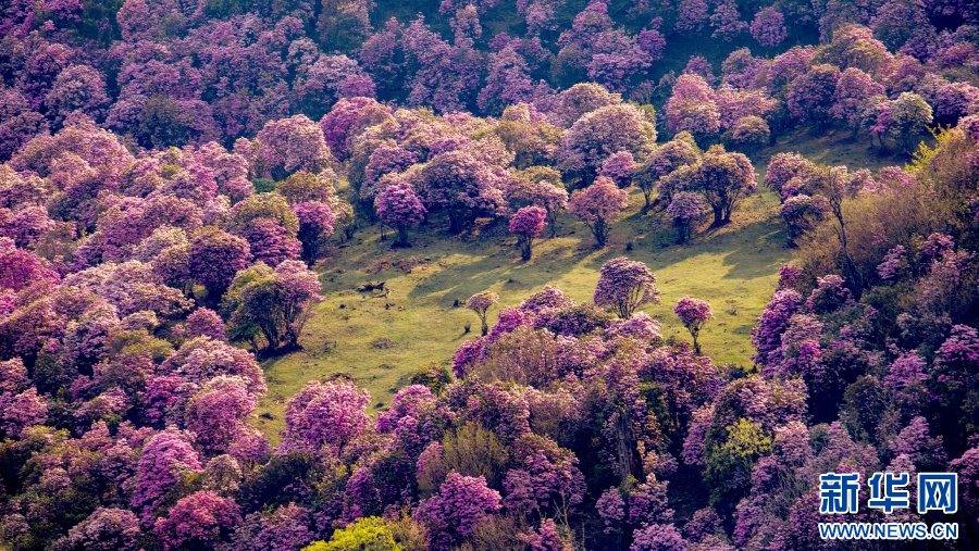 202504258d2a6186ebdd4ecb92769740c19bc170_2025042581ad0f26b7624dd196d192cb1d835d82 202504258d2a6186ebdd4ecb92769740c19bc170_2025042581ad0f26b7624dd196d192cb1d835d82