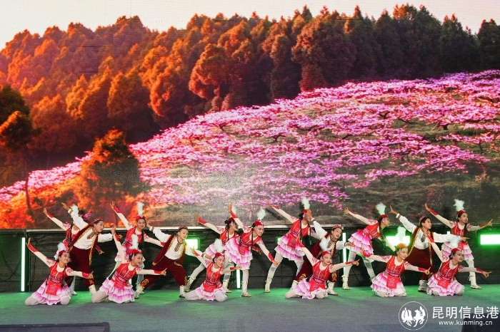 2.托云牧场的琴声2 2.托云牧场的琴声2