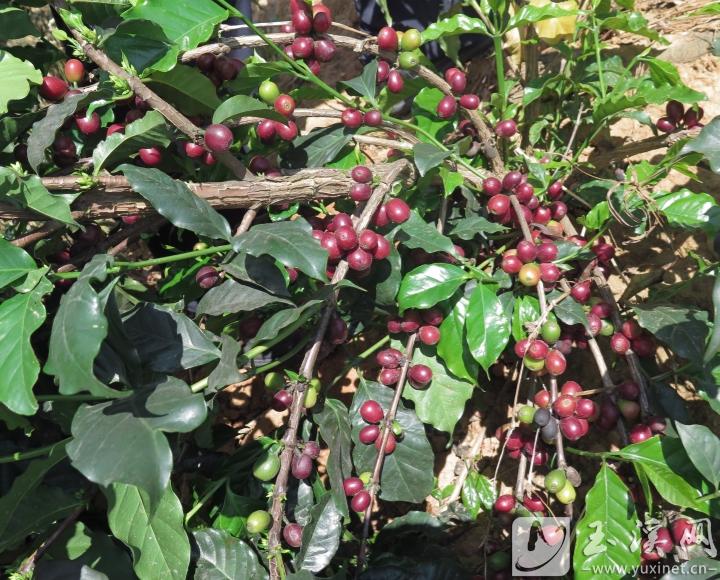 6_副本-1 6_副本-1