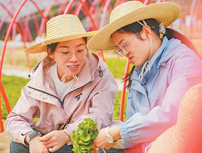 云南咖啡何以味更香？人民日报要闻版头条解读