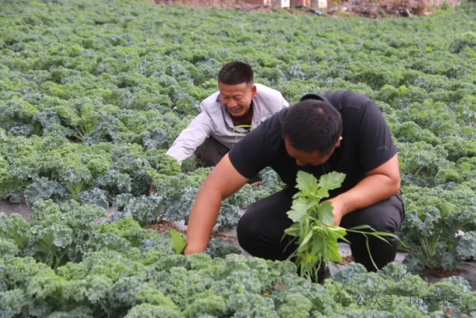 微信截图_20250517141809