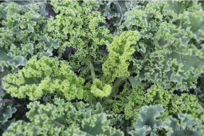 微信截图_20250517141817