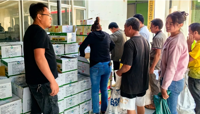 微信截图_20250517143507 微信截图_20250517143507