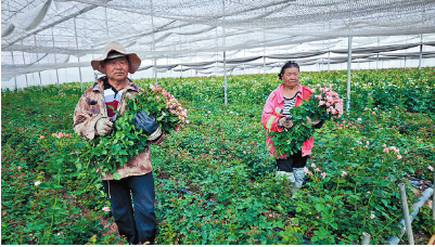 b27c731ed62f808824062be374474b42