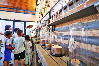 2024年我国每20万人拥有一家博物馆 2024年我国每20万人拥有一家博物馆