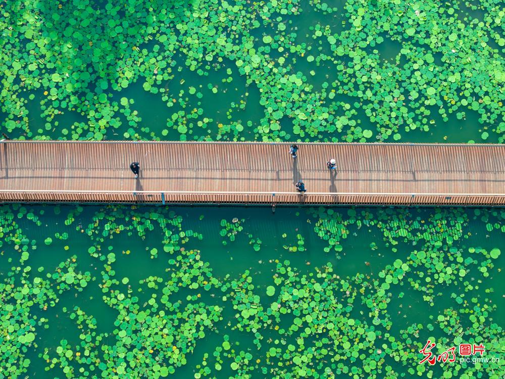 88aedd17a965299527d021 88aedd17a965299527d021