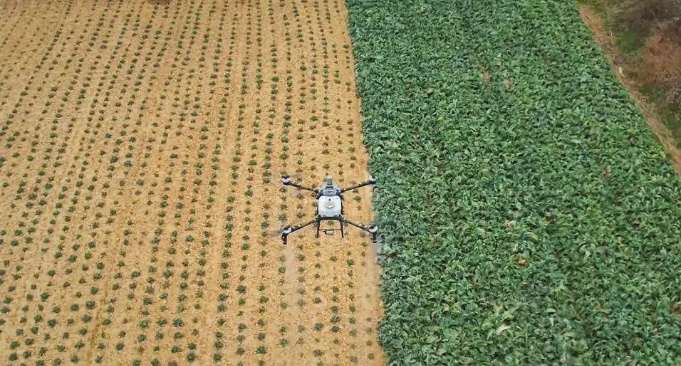 【理响中国·春江水暖鸭先知】一架“无人机”飞出低空新天地