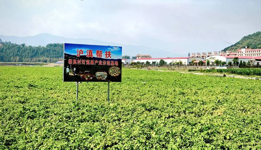 1747878562669749.png 640_wx_fmt=jpeg&tp=webp&wxfrom=5&wx_lazy=1.webp (7).png