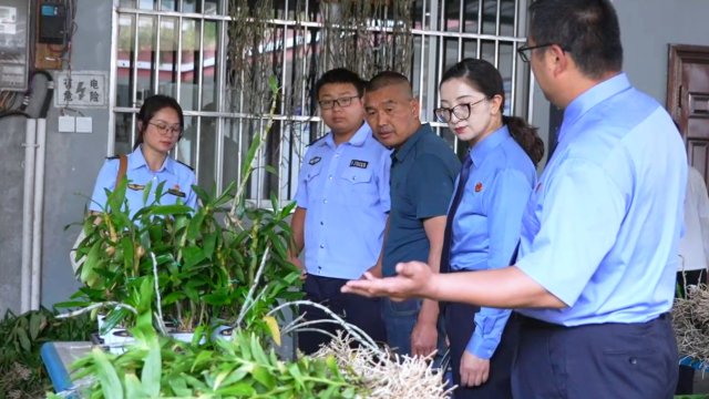 到石斛基地宣传 龙陵融媒供图.jpg