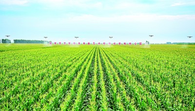 【携手奔赴现代化的明天】这么一“升级”，吉林农业真的变了！