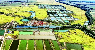 【携手奔赴现代化的明天】这么一“升级”，吉林农业真的变了！