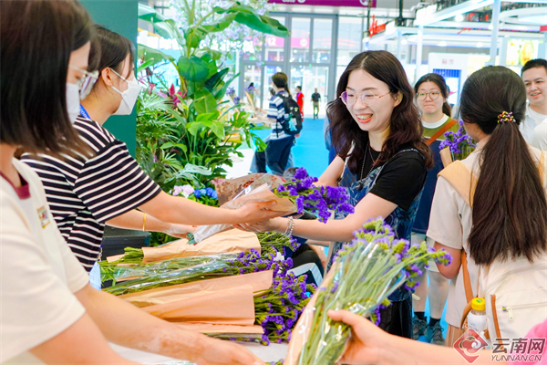 缤纷呈异彩 奋进正当时——云南参展深圳文博会综述