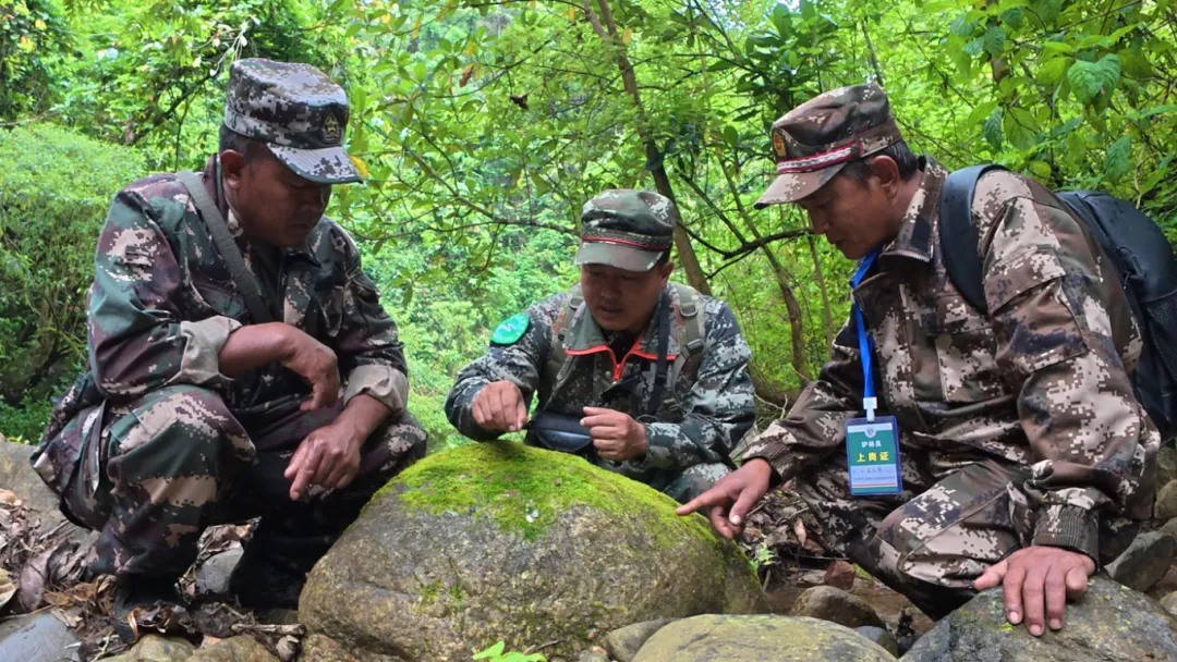 1748484228790093.png 640_wx_fmt=jpeg&from=appmsg&tp=webp&wxfrom=5&wx_lazy=1.webp (1).png