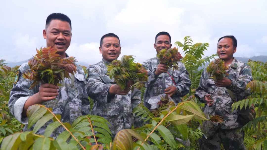 1748484262702947.png 640_wx_fmt=jpeg&from=appmsg&tp=webp&wxfrom=5&wx_lazy=1.webp (4).png