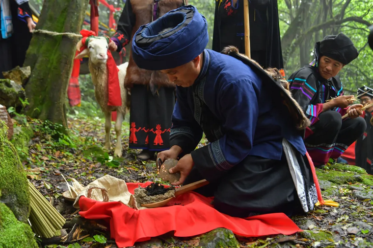 21f070cba854a8ed76fb809a18733490