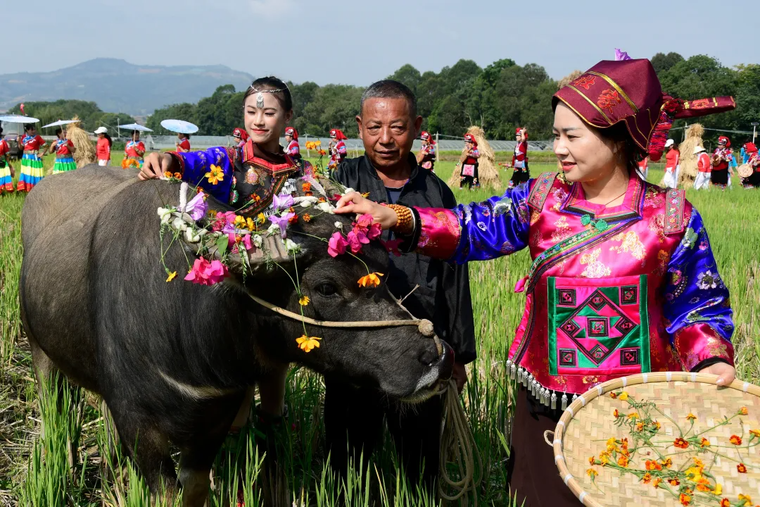 ba21eefd05428a479c95e5354b740b81