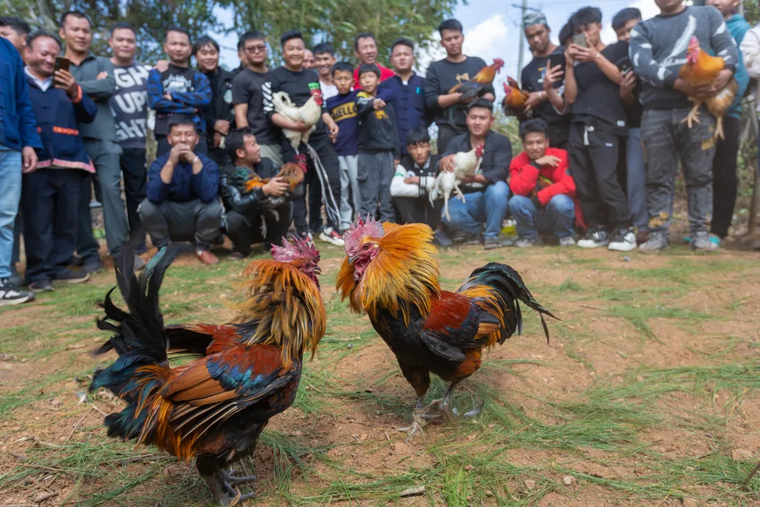 53e15c64f773b5421b670ed1b06cb6a4