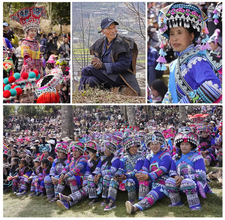 3c0d863a629ddf1c95fa59294893fa2f