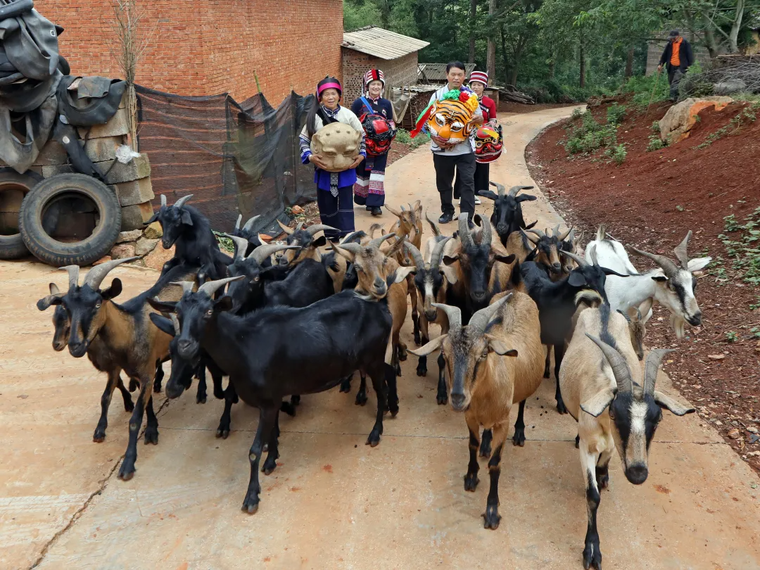 893923e2d367e432bf31d60b13d08e54