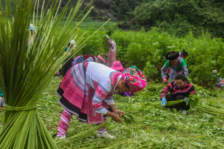 4a59f185763f33559d209533730a3d80