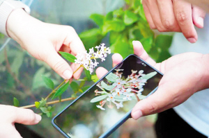 98551749060234058 98551749060234058