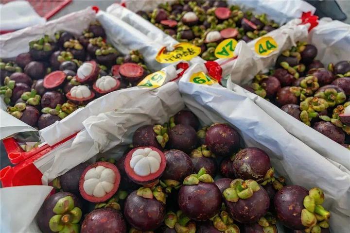 榴莲便宜了，原来与这条铁路有关！