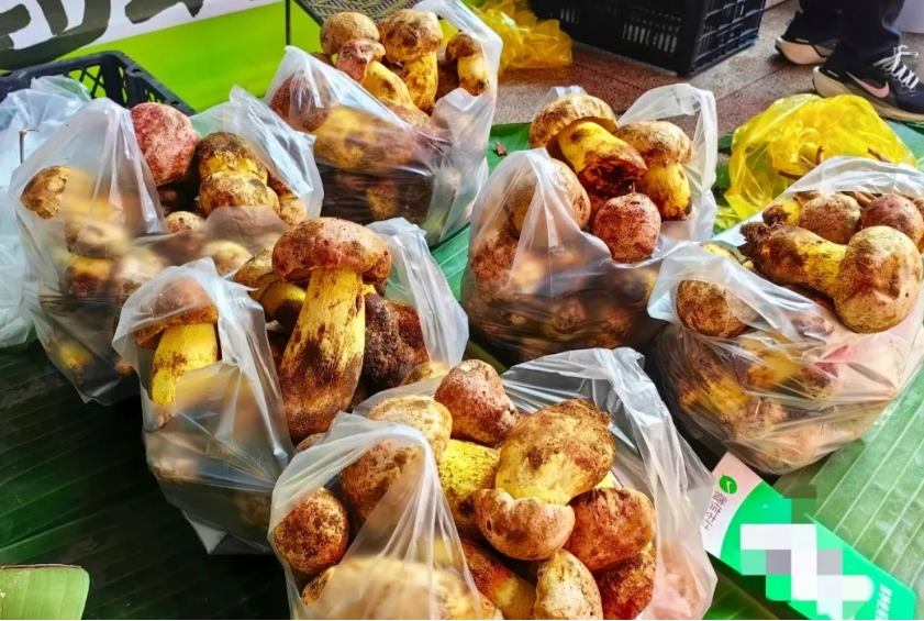 1749431244882447.jpg 01.jpg