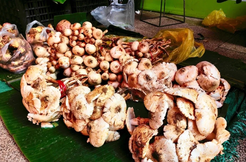 1749431269822429.jpg 02.jpg